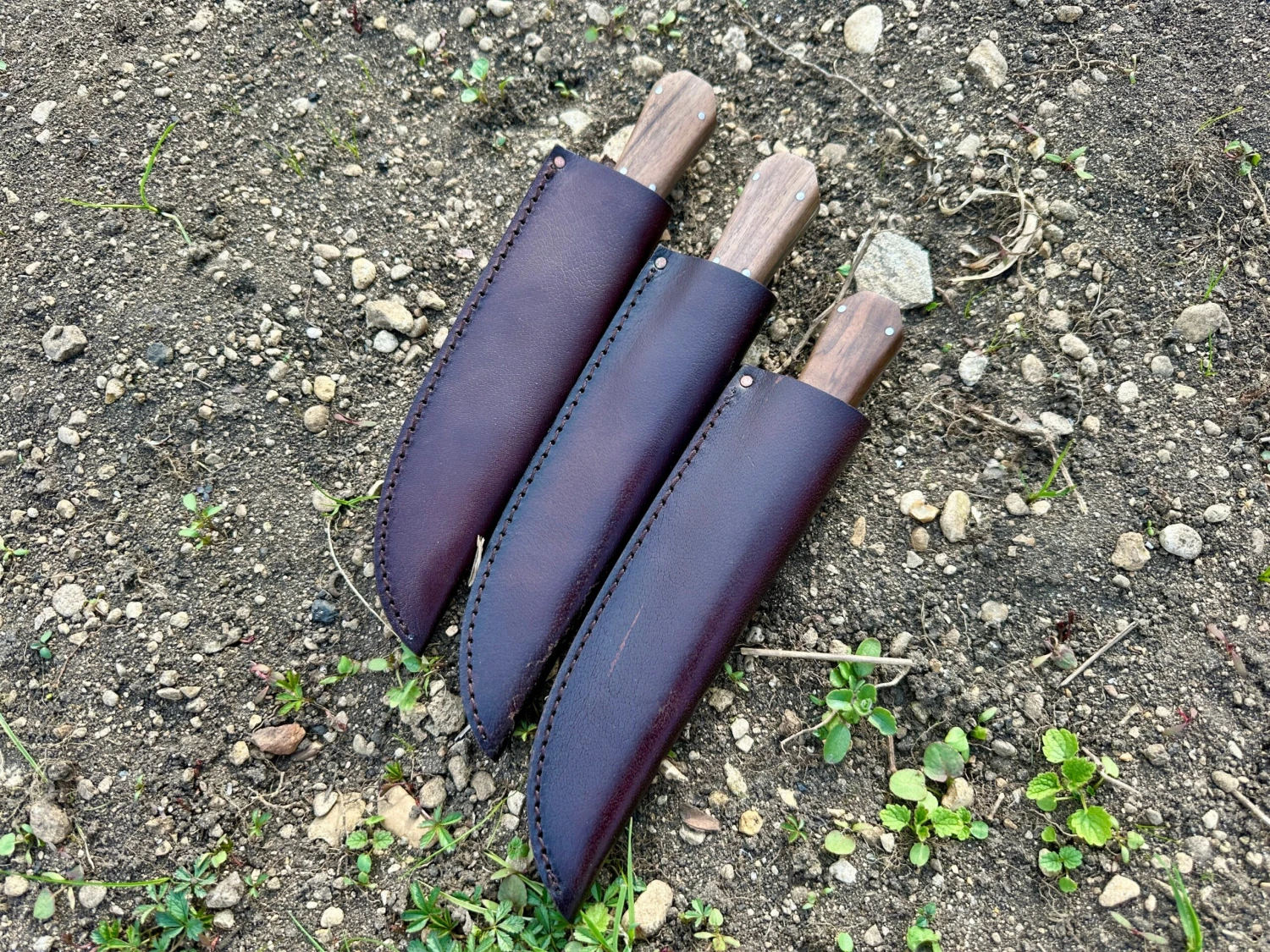 Bowie Knife With Coffin Shaped Walnut Handle - Image 3