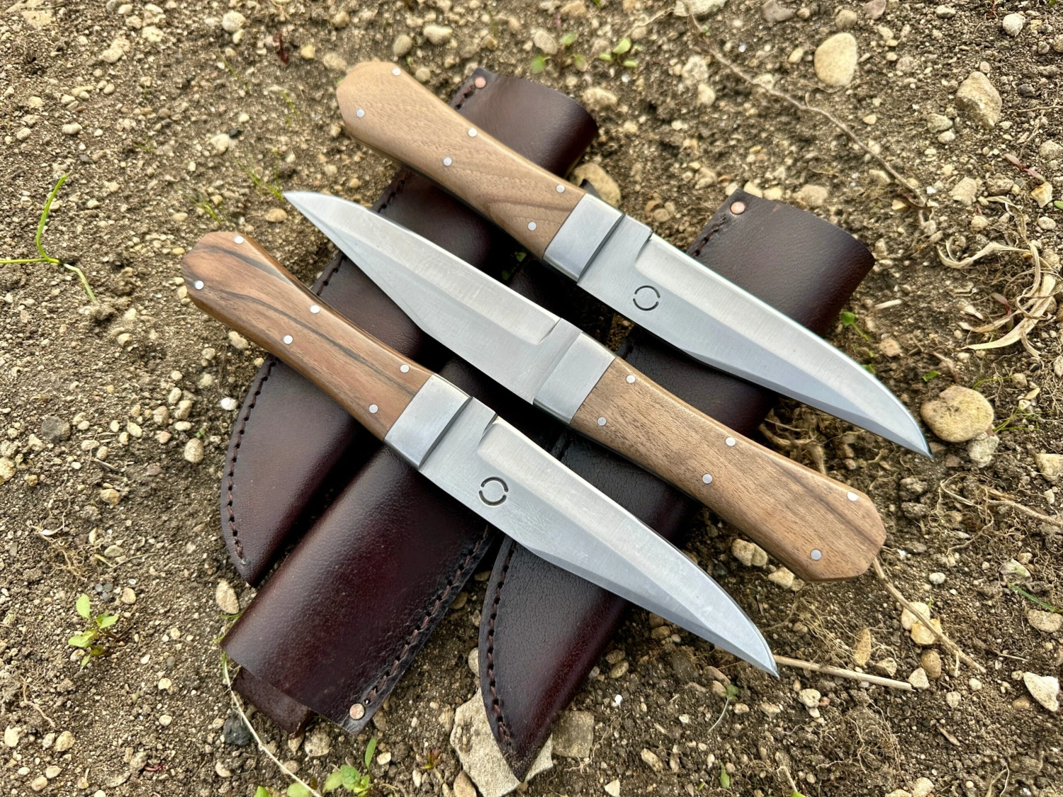 Bowie Knife With Coffin Shaped Walnut Handle - Image 4
