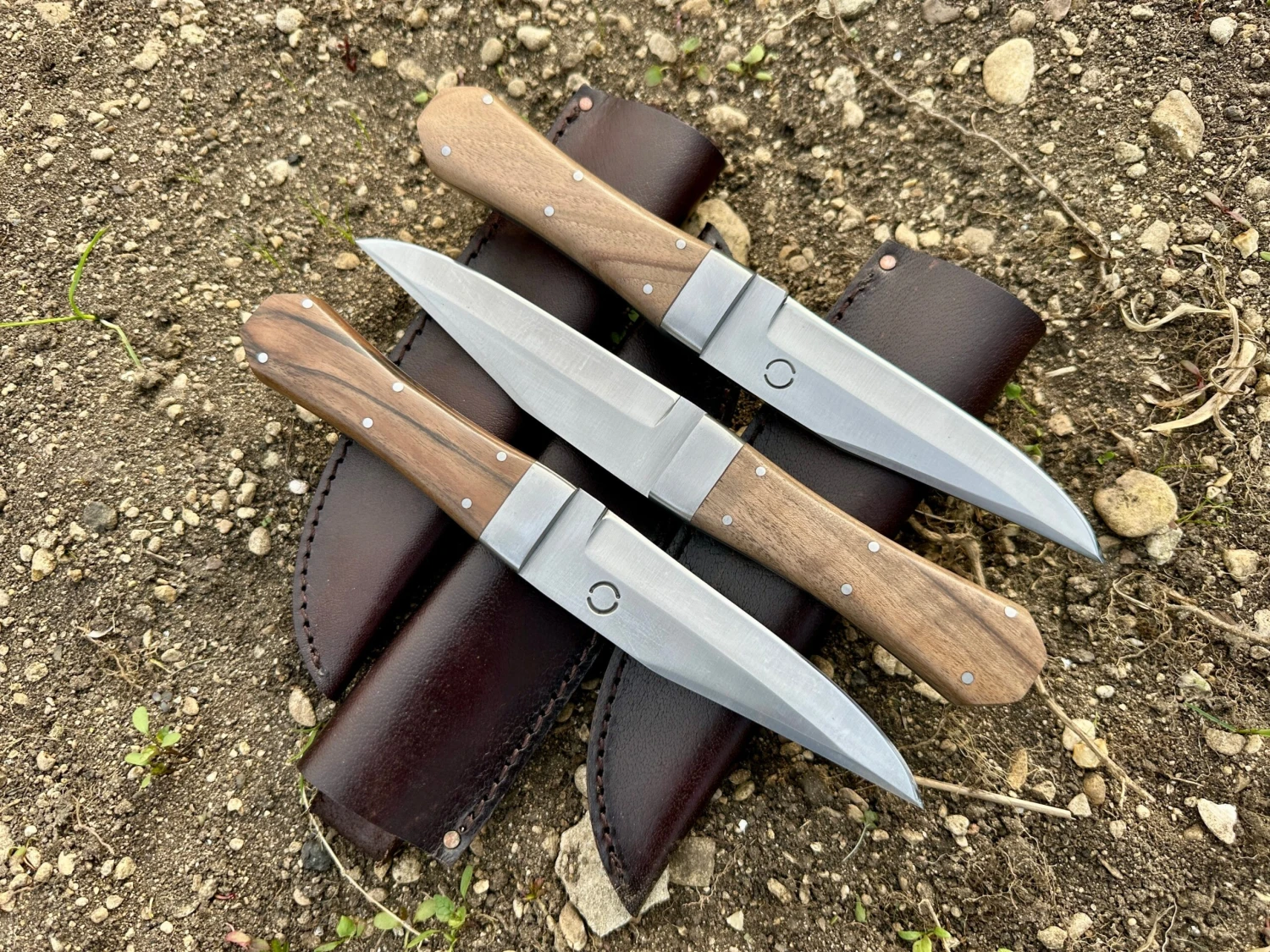 Bowie Knife With Coffin Shaped Walnut Handle