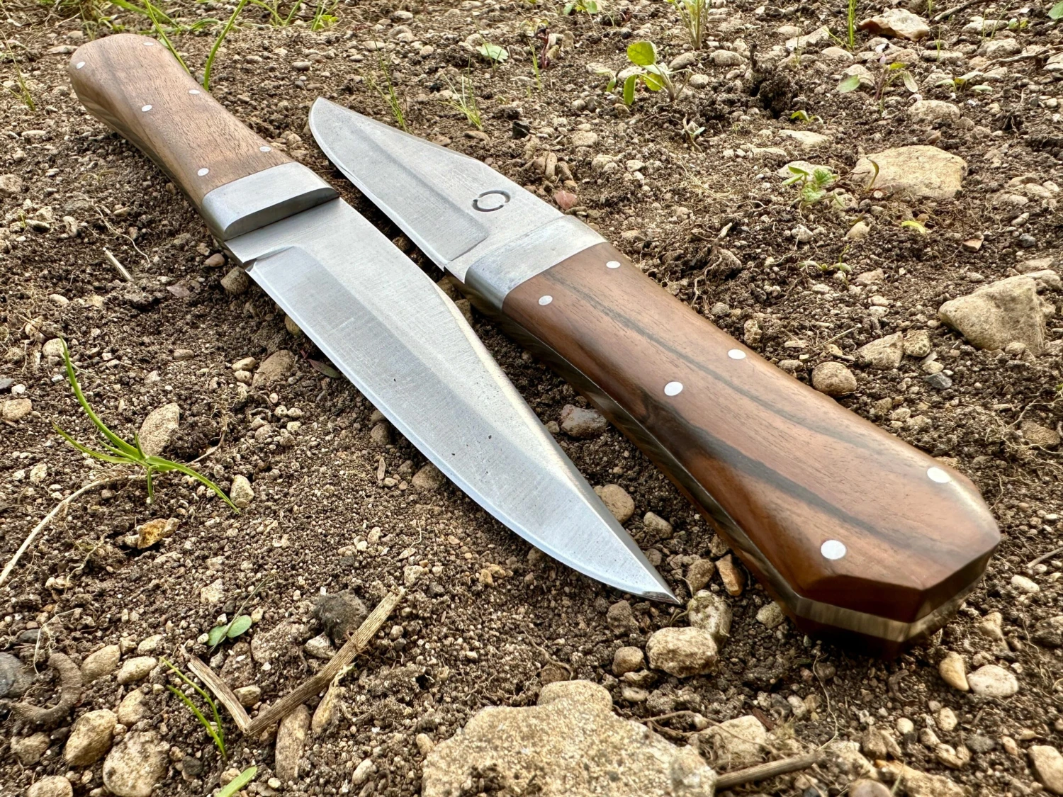 Bowie Knife With Coffin Shaped Walnut Handle - Image 2