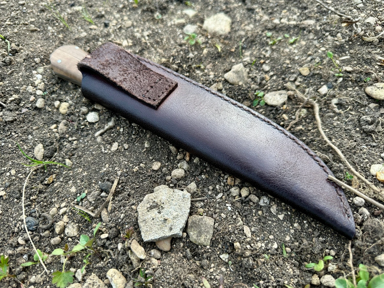 Bowie Knife With Coffin Shaped Walnut Handle - Image 6