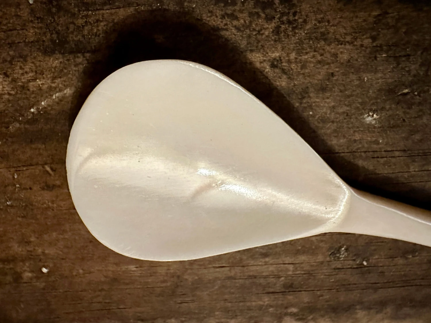 Scallop Shell Finial Bone Spoon - Image 3