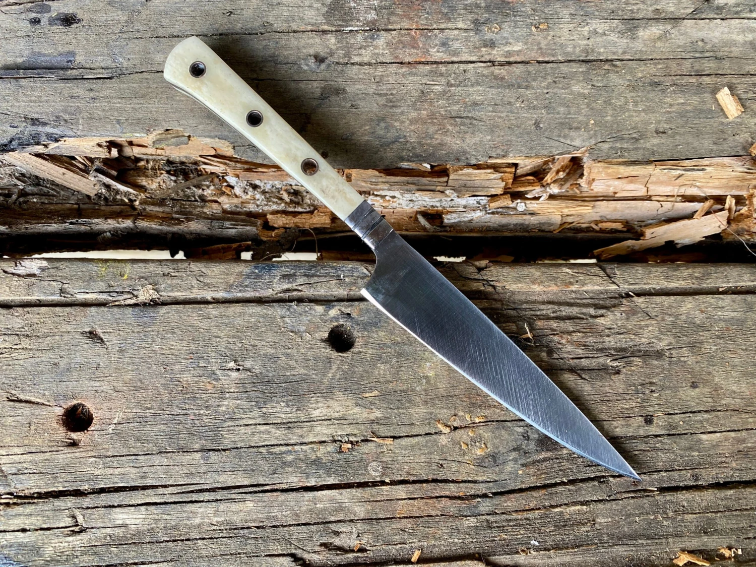 Small Bone Handled Medieval Eating Knives 14thC-15thC